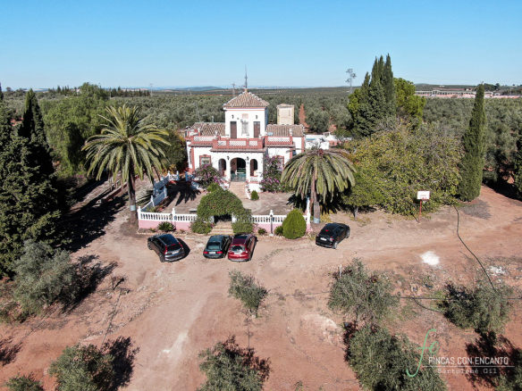 Precioso cortijo con olivar