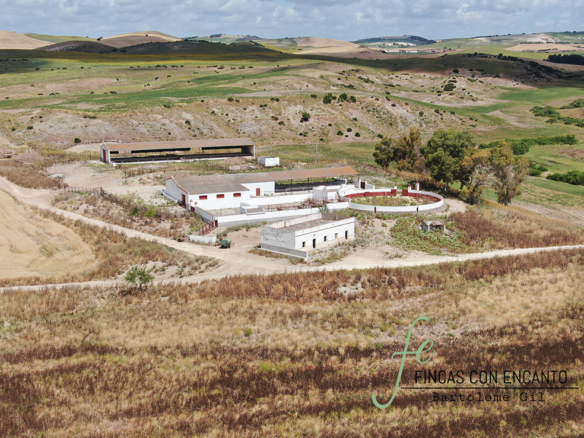 Estupenda finca agricola ganadera en Espera, Cádiz