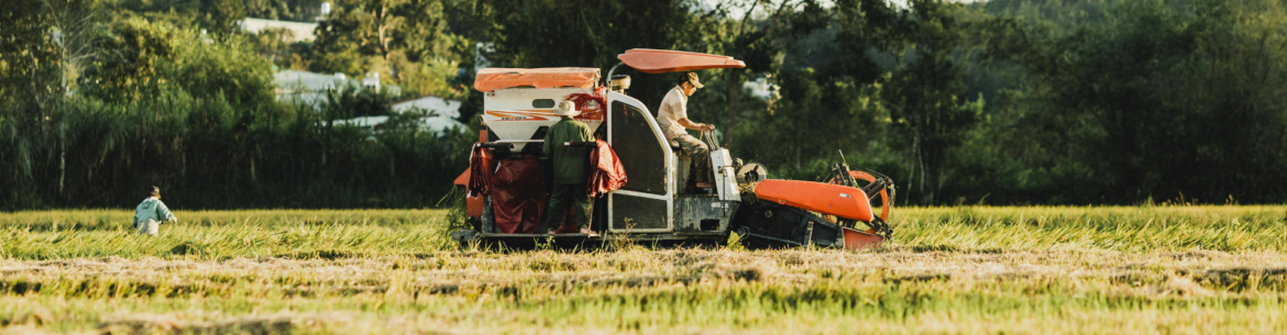 Agricultura