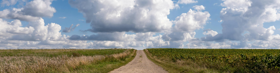Camino por el campo