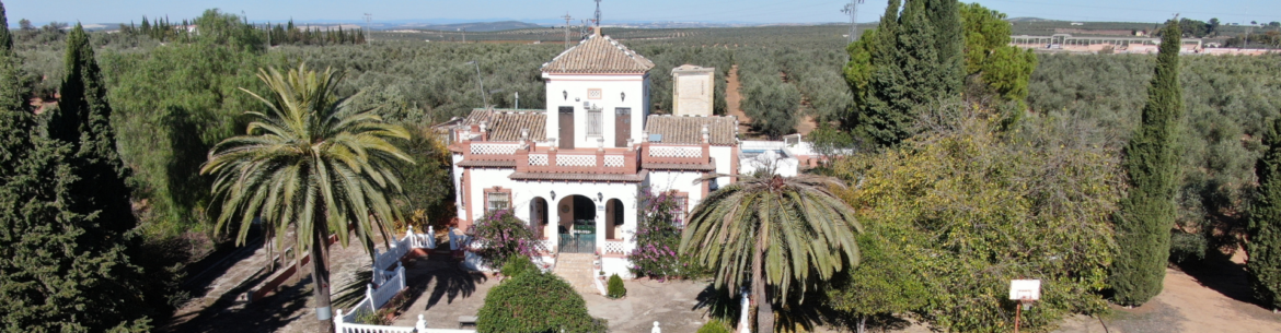 Cortijo con olivar