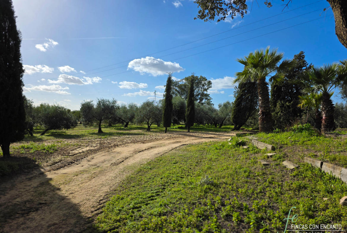 Árboles del exterior de la finca