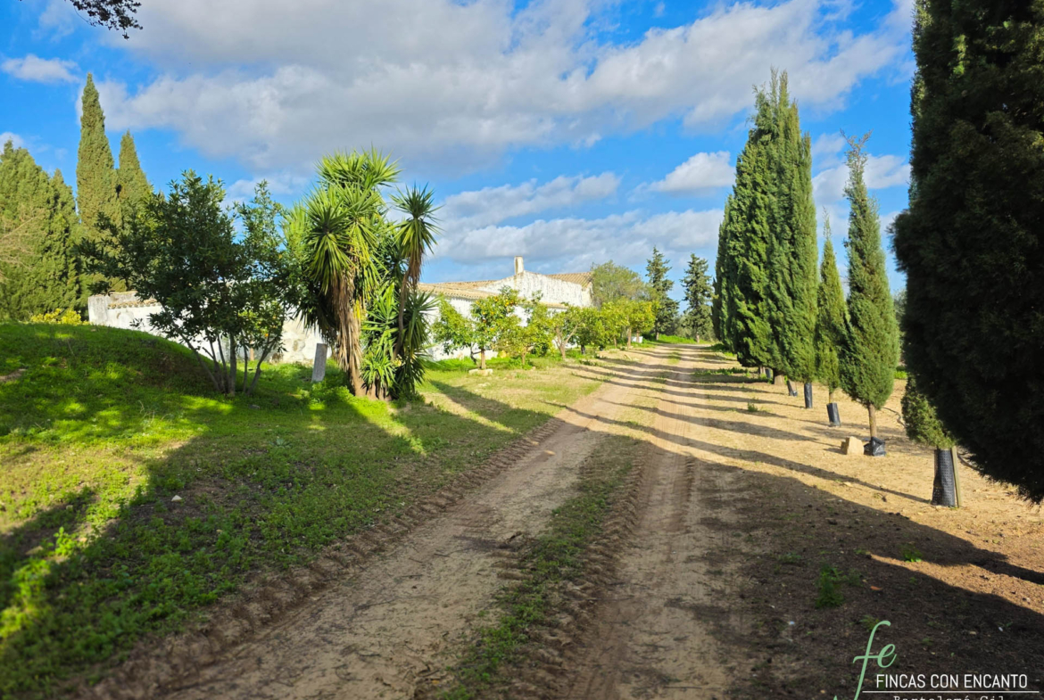 Perspectiva exterior de la finca con árboles