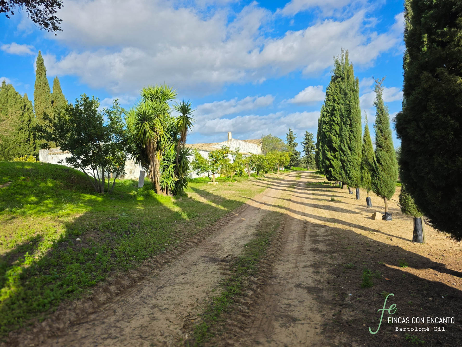 Perspectiva exterior de la finca con árboles
