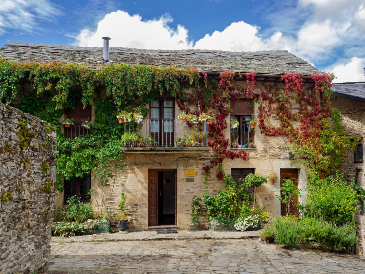 Casa rural con vegetación en la fachada