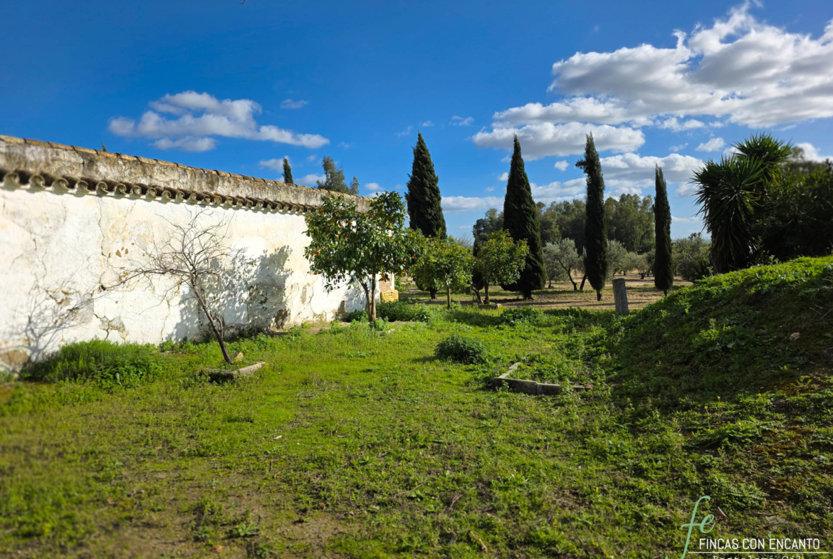 Muro exterior de la finca