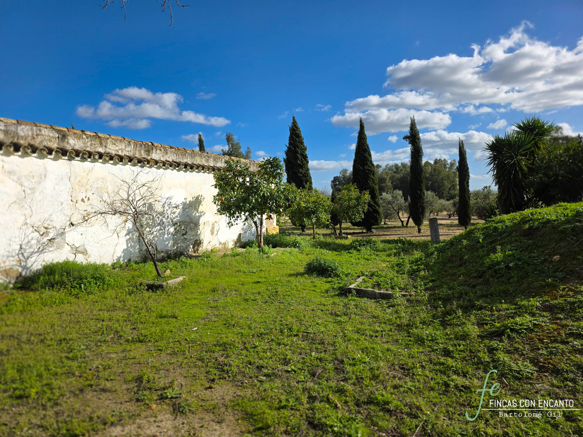 Muro exterior de la finca