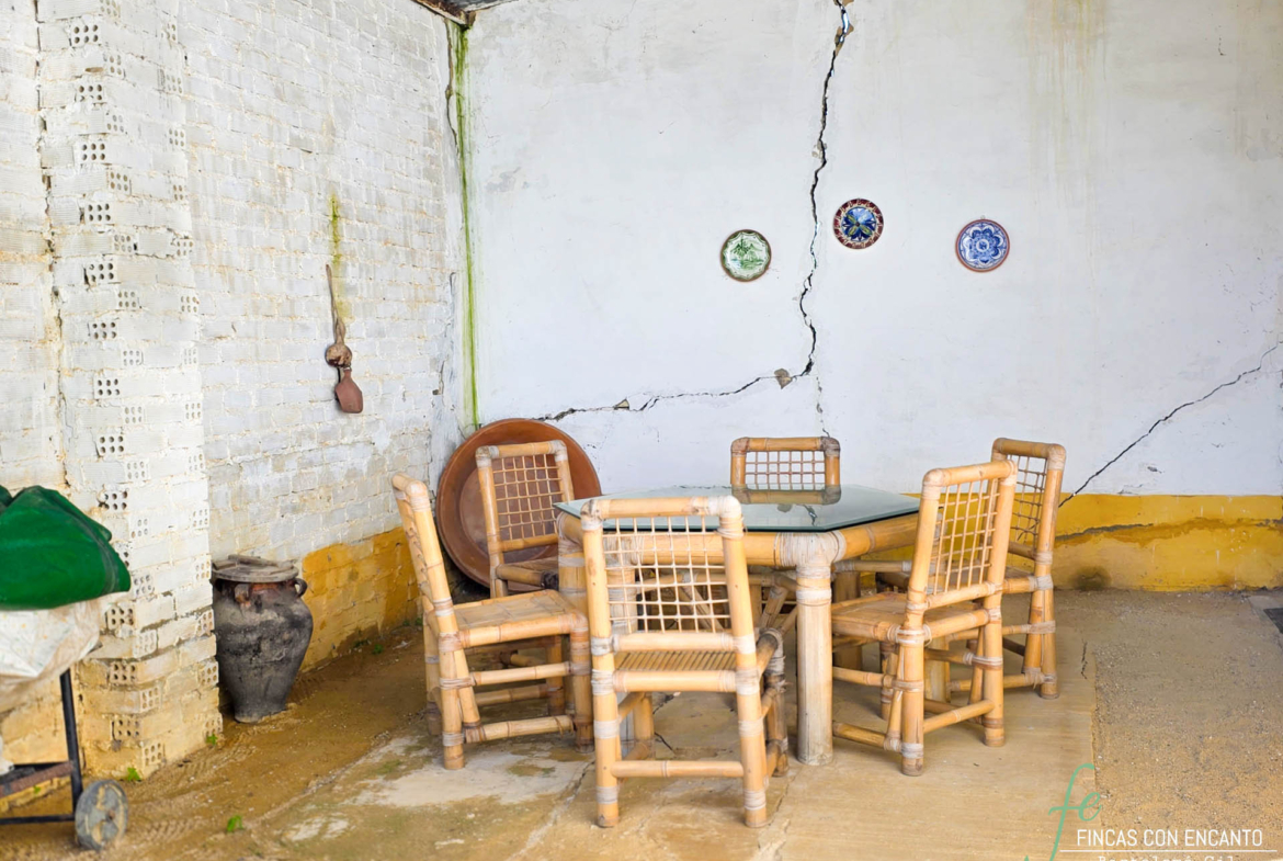Patio con mesa exterior