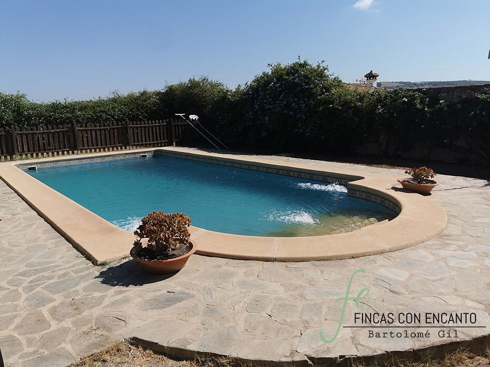 Vista delantera de la piscina