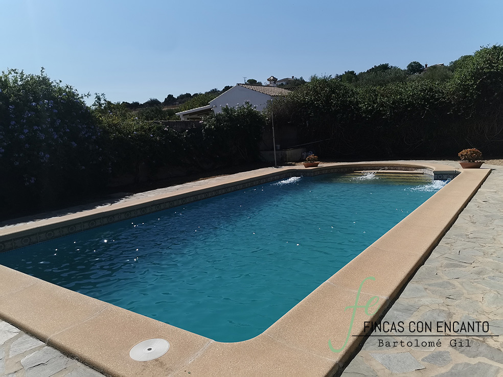 Vista desde atrás de la piscina