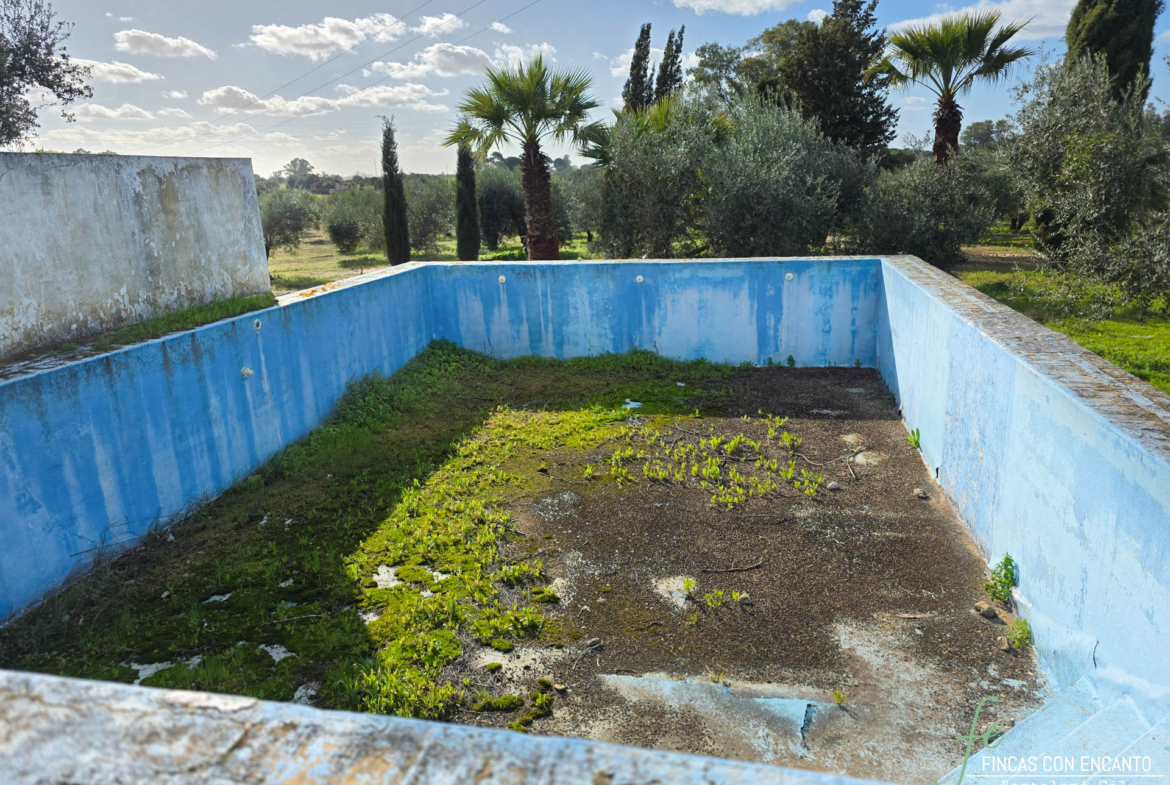 Primer plano de la piscina del cortijo