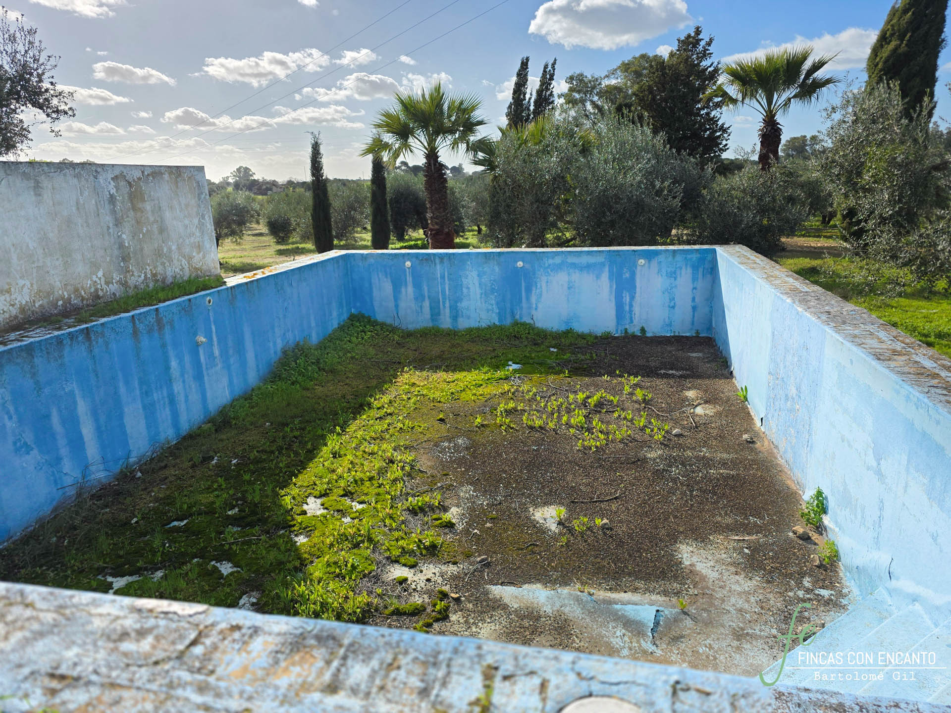 Primer plano de la piscina del cortijo