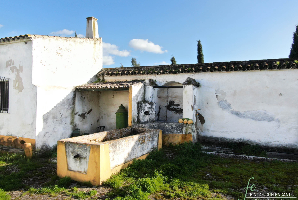 Primer plano del pozo y el abrevadero