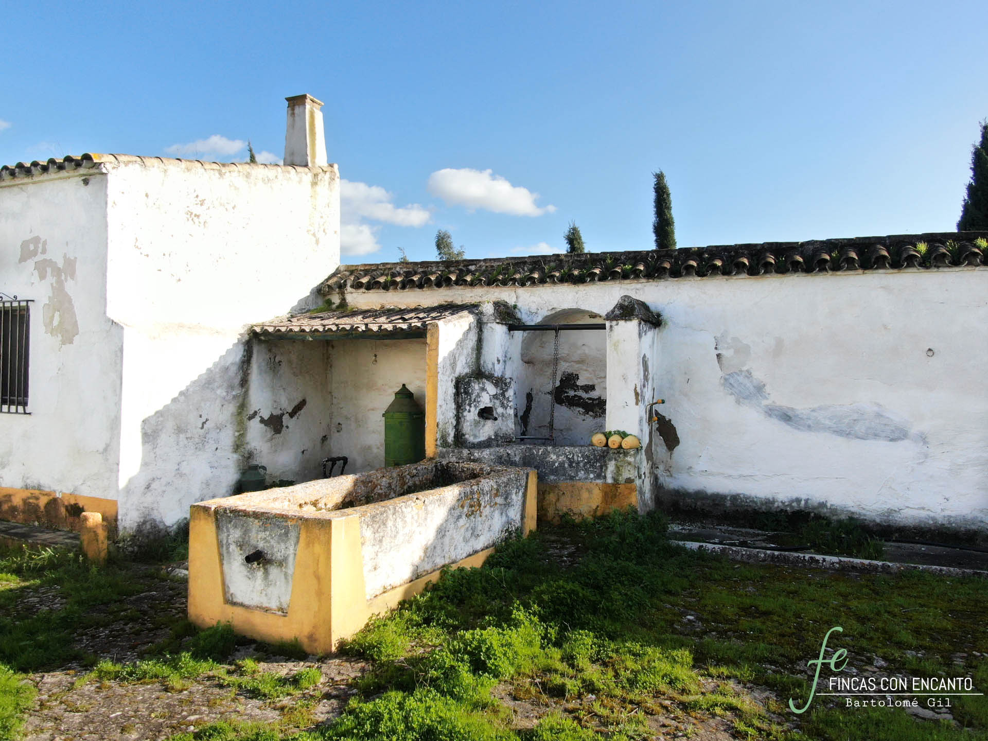 Primer plano del pozo y el abrevadero