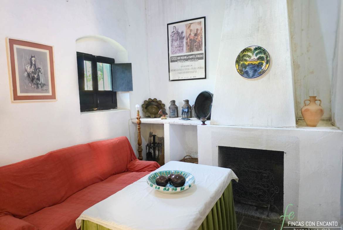 Salón con chimenea