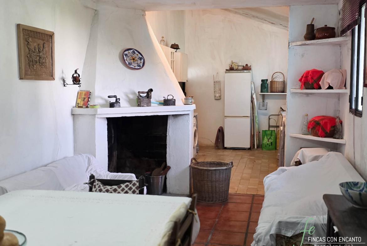 Salón y vista de la cocina