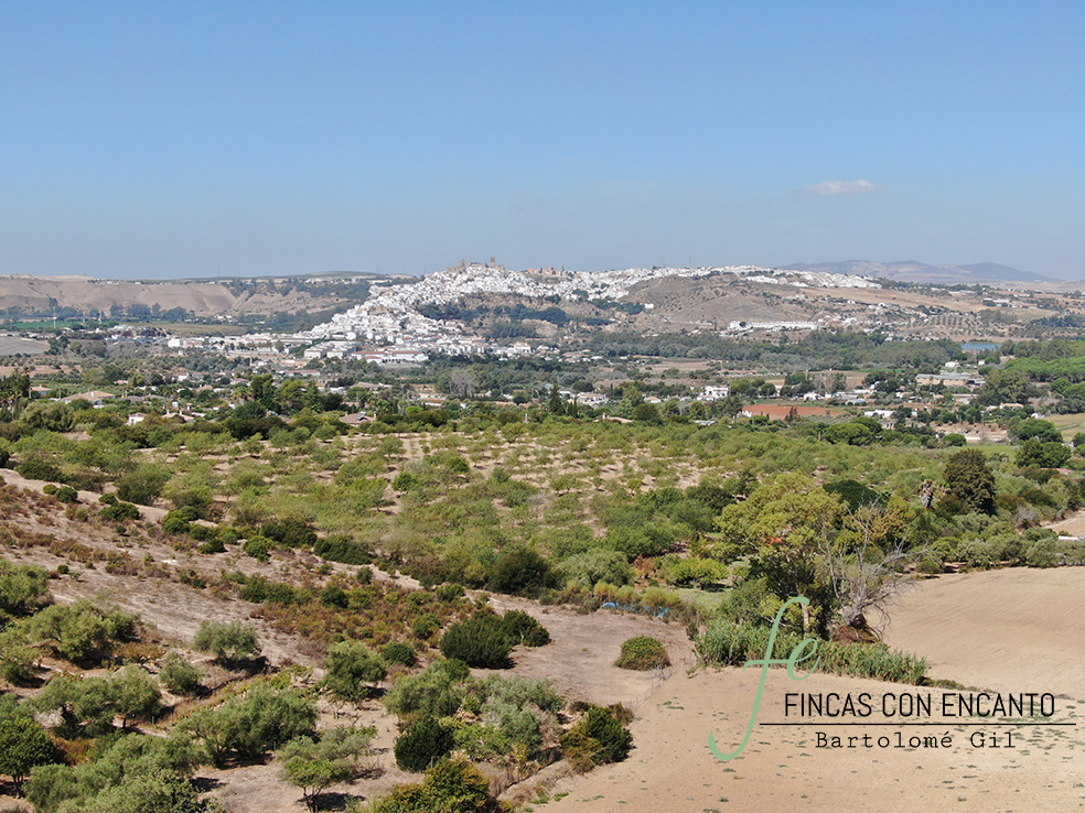 Vista de los alrededores