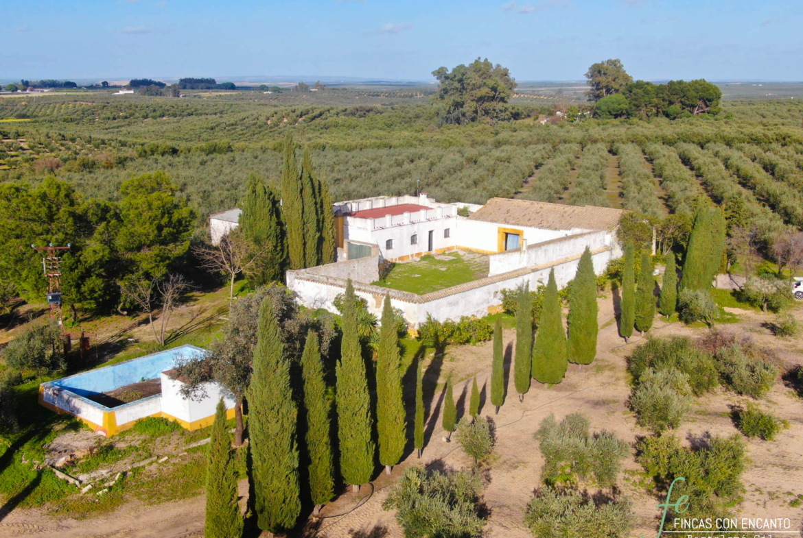 Vista aérea de la finca