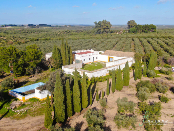 Vista aérea de la finca