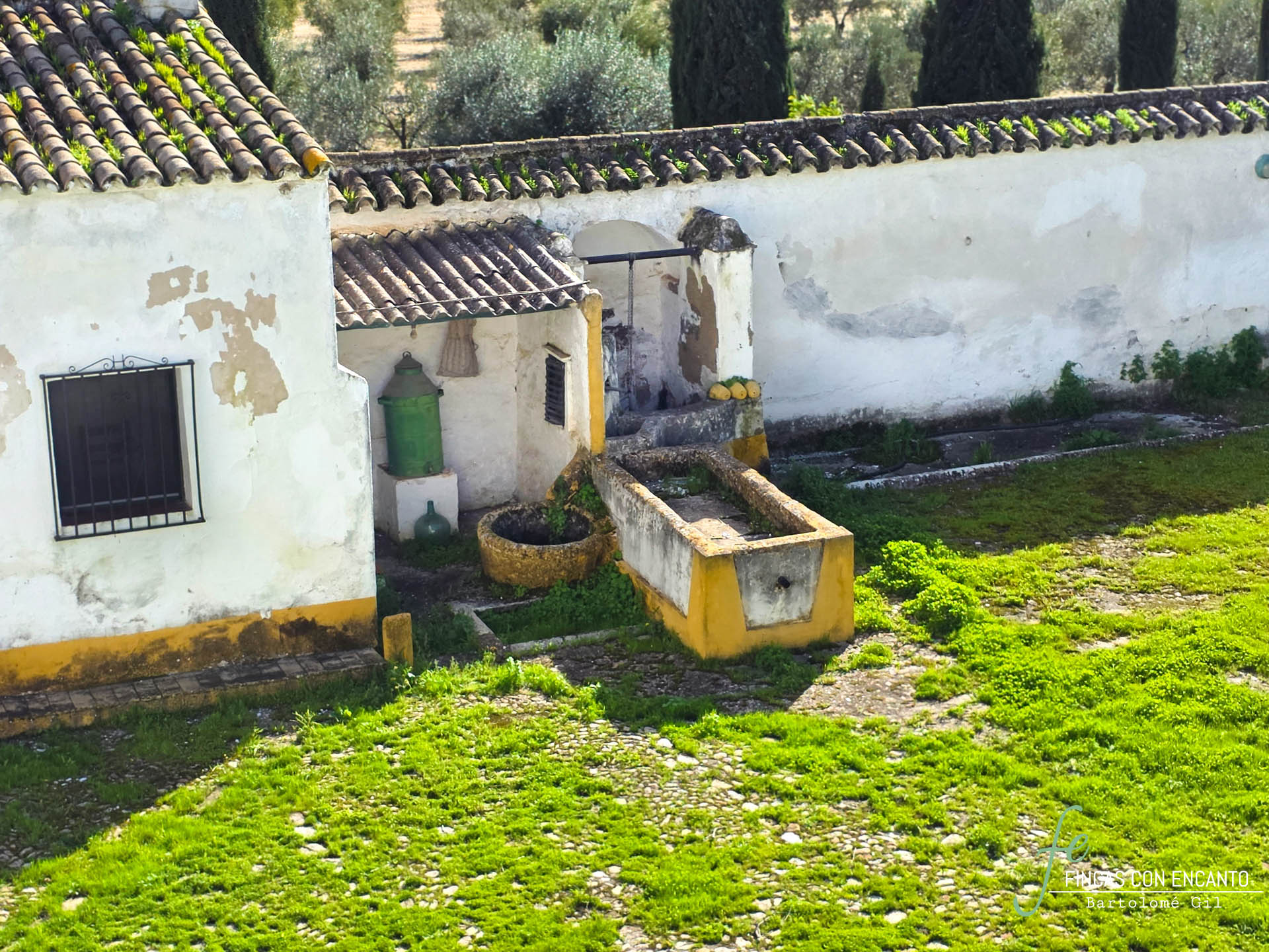 Vista aérea del patio principal con el pozo y el abrevadero