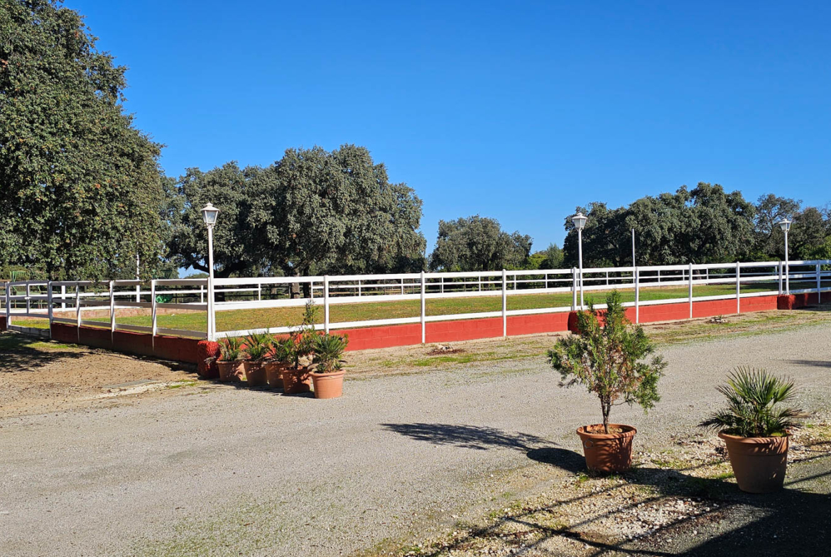 Exterior con camino hacia la zona de caballos y toros
