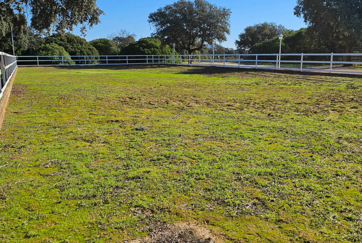 Zona para caballos u otros animales