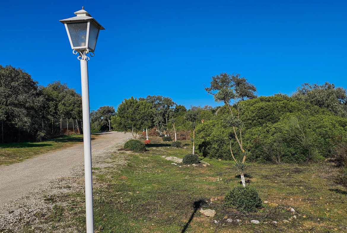 Camino exterior con una farola