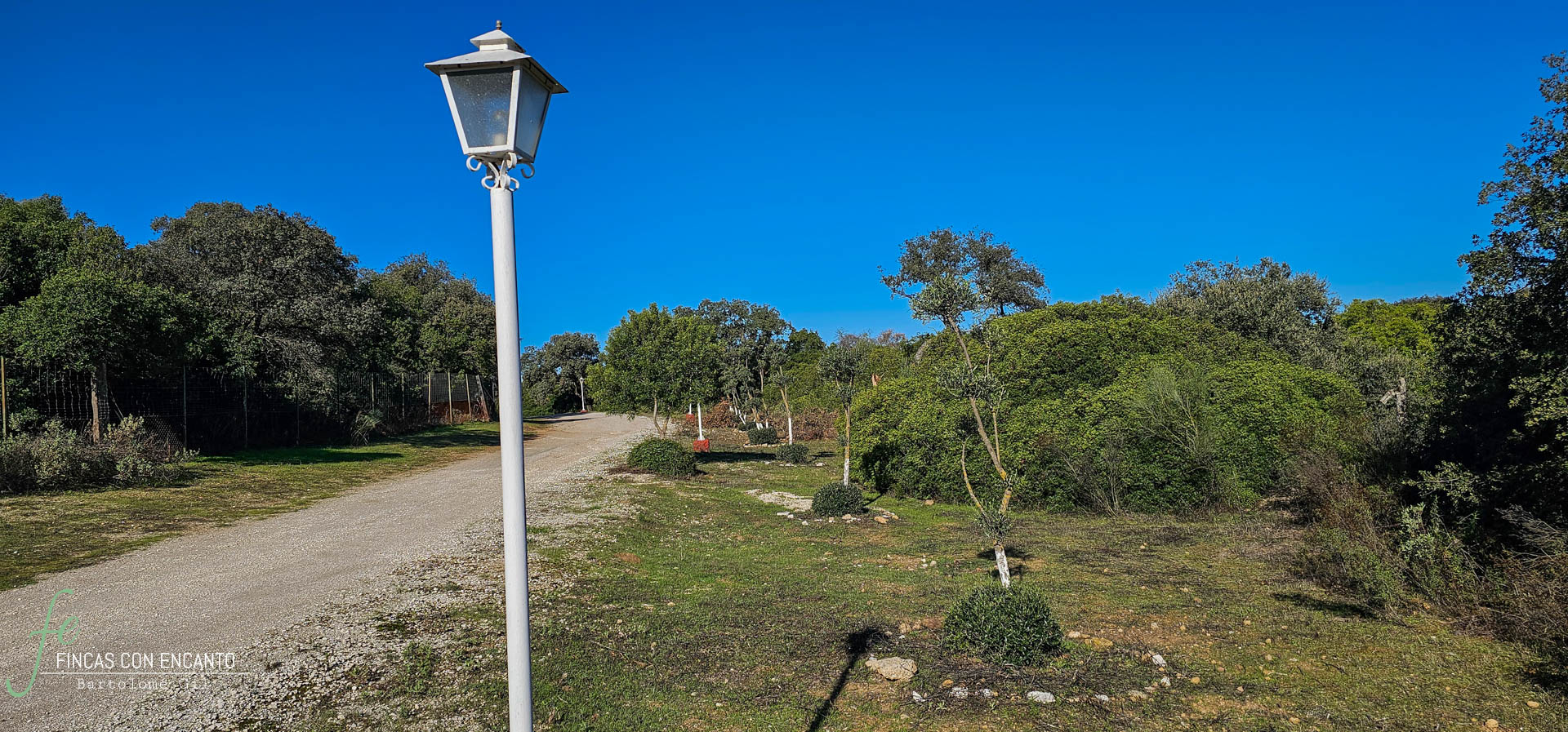 Camino exterior con una farola