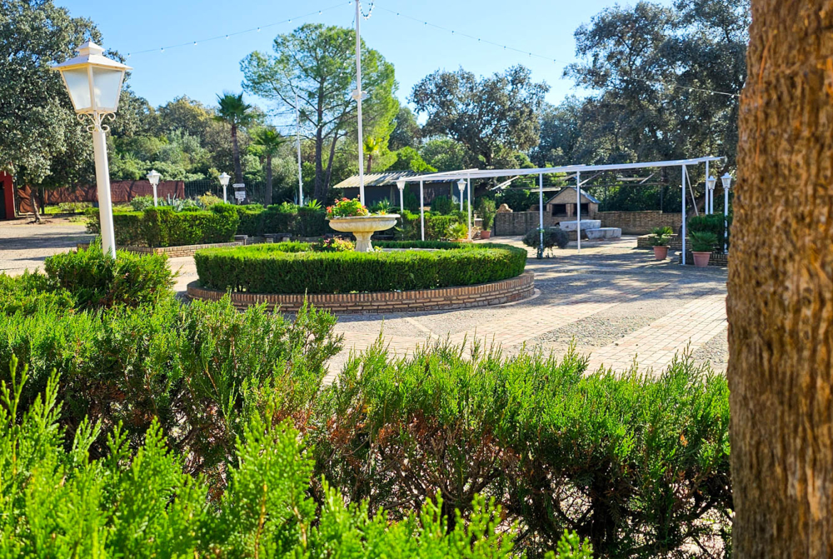 Jardín exxterior