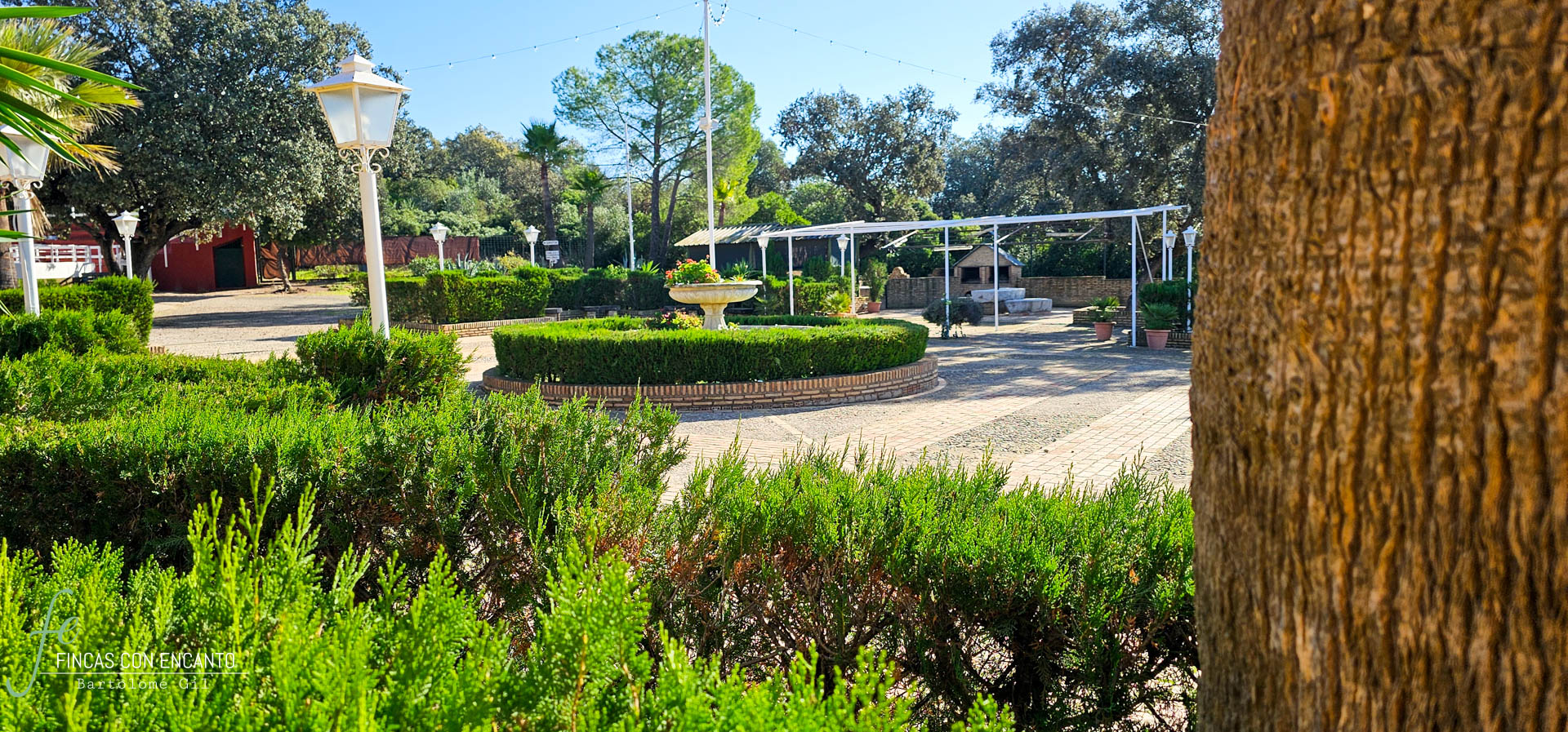 Jardín exxterior