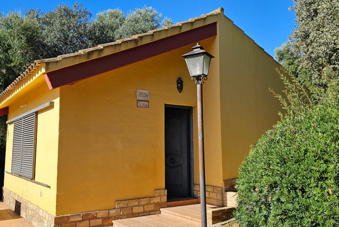 Pared lateral