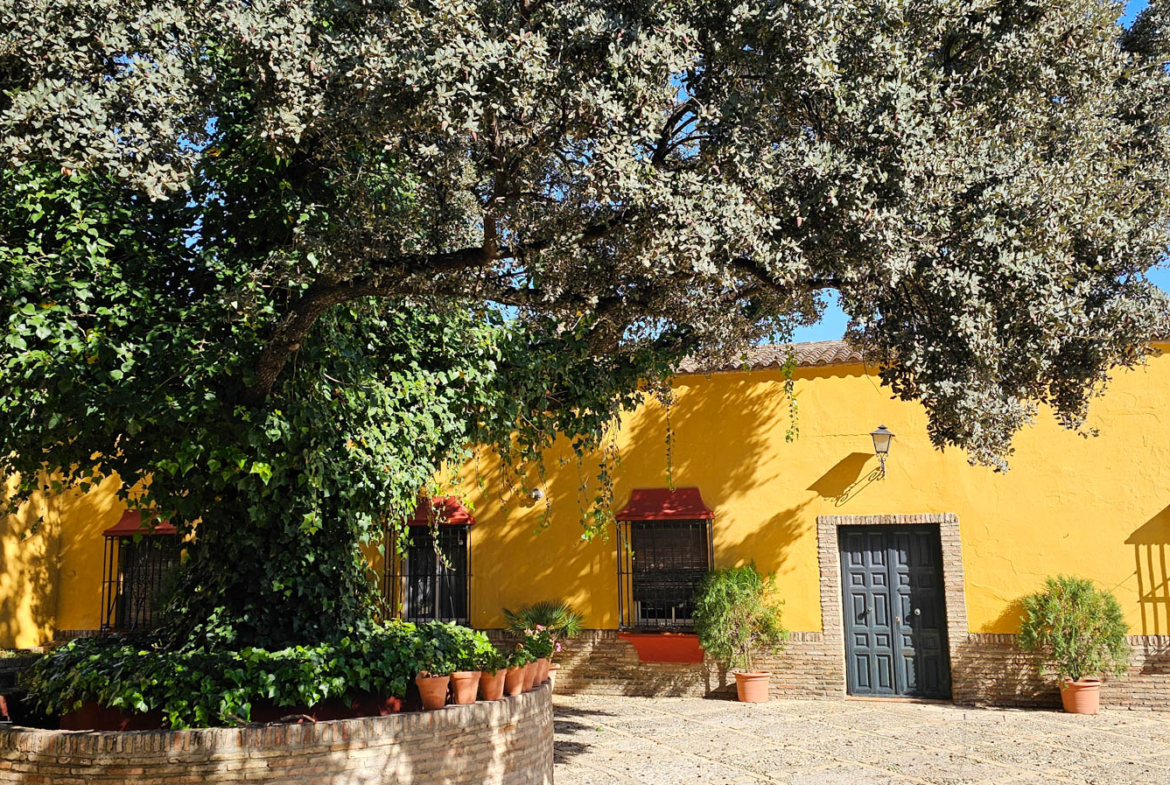 Exterior de la vivienda con un árbol