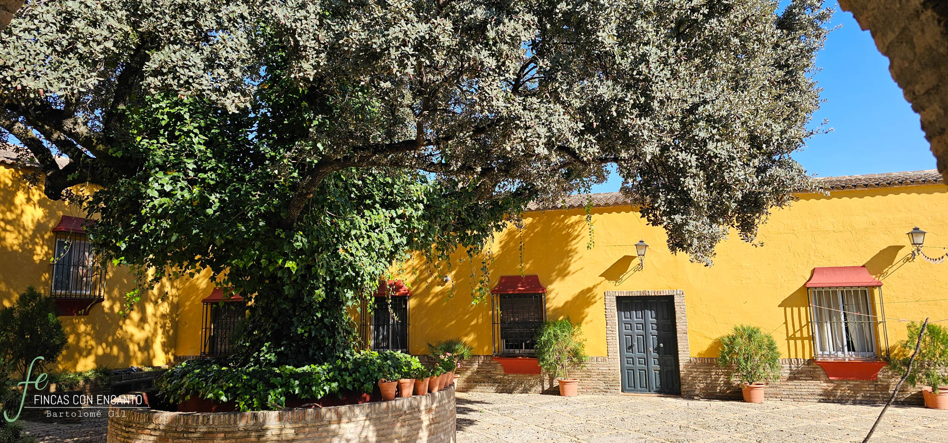 Exterior de la vivienda con un árbol
