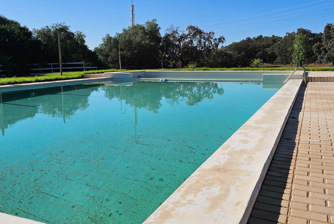 Foto lateral de la piscina