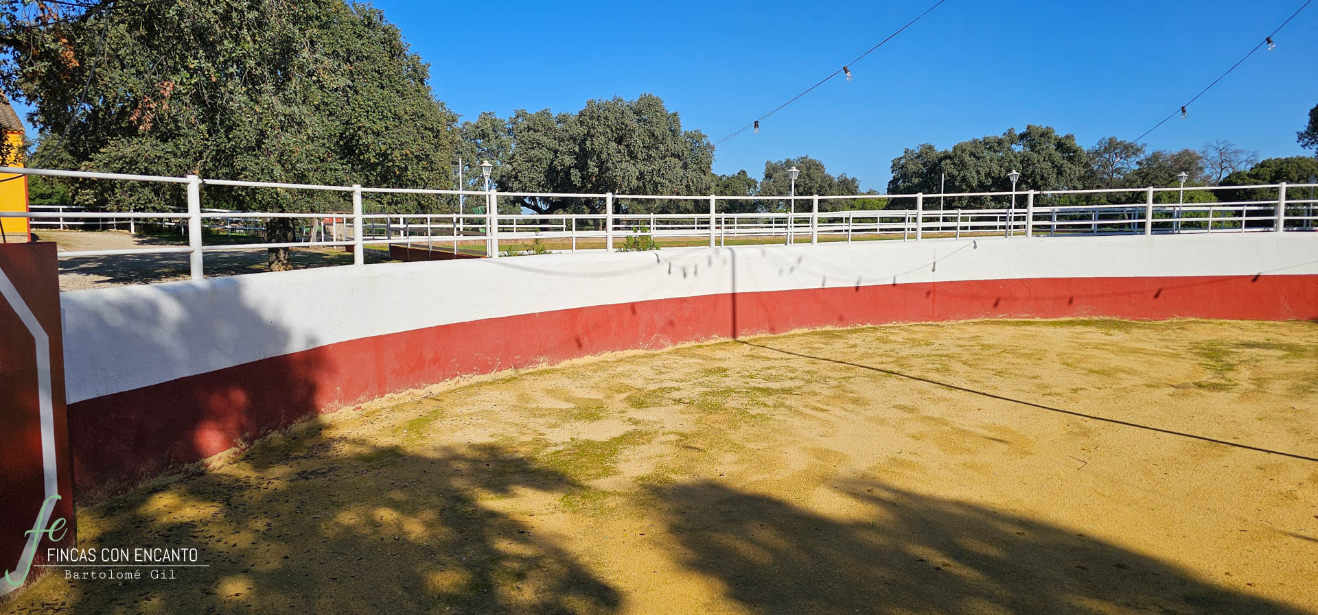 Foto lateral de la zona exterior