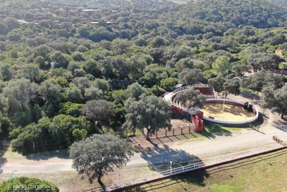 Foto aérea donde se visualiza la plaza de toros