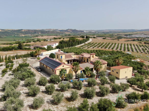 Cortijo con olivar de secano, tierra de riego y almazara