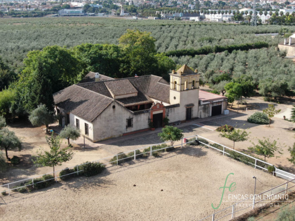 Magnífica finca ecuestre con cortijo de lujo a 15 minutos de Sevilla