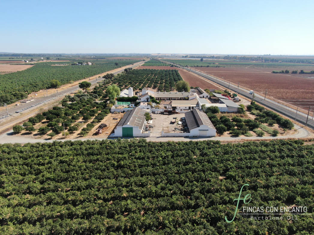Hacienda agrícola con 30 hectáreas de regadío en Los Rosales