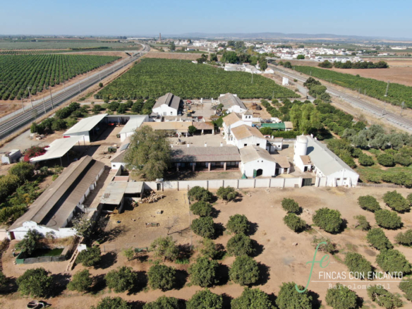 Hacienda agrícola con 30 hectáreas de regadío en Los Rosales