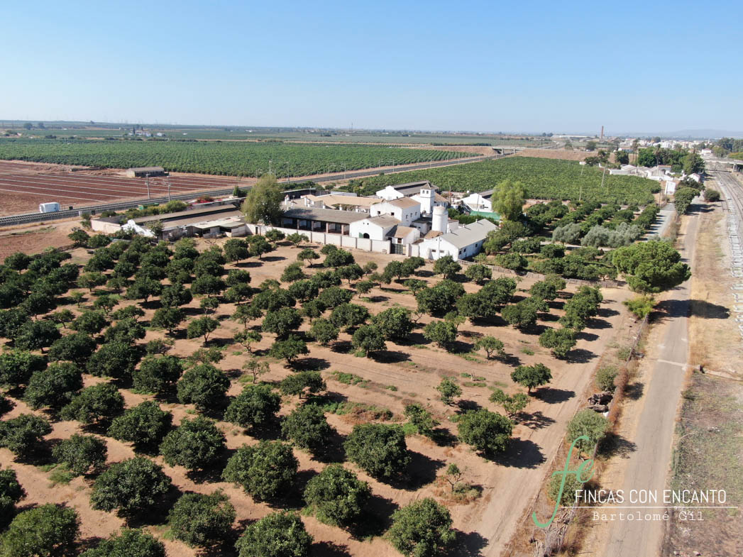 Hacienda agrícola con 30 hectáreas de regadío en Los Rosales
