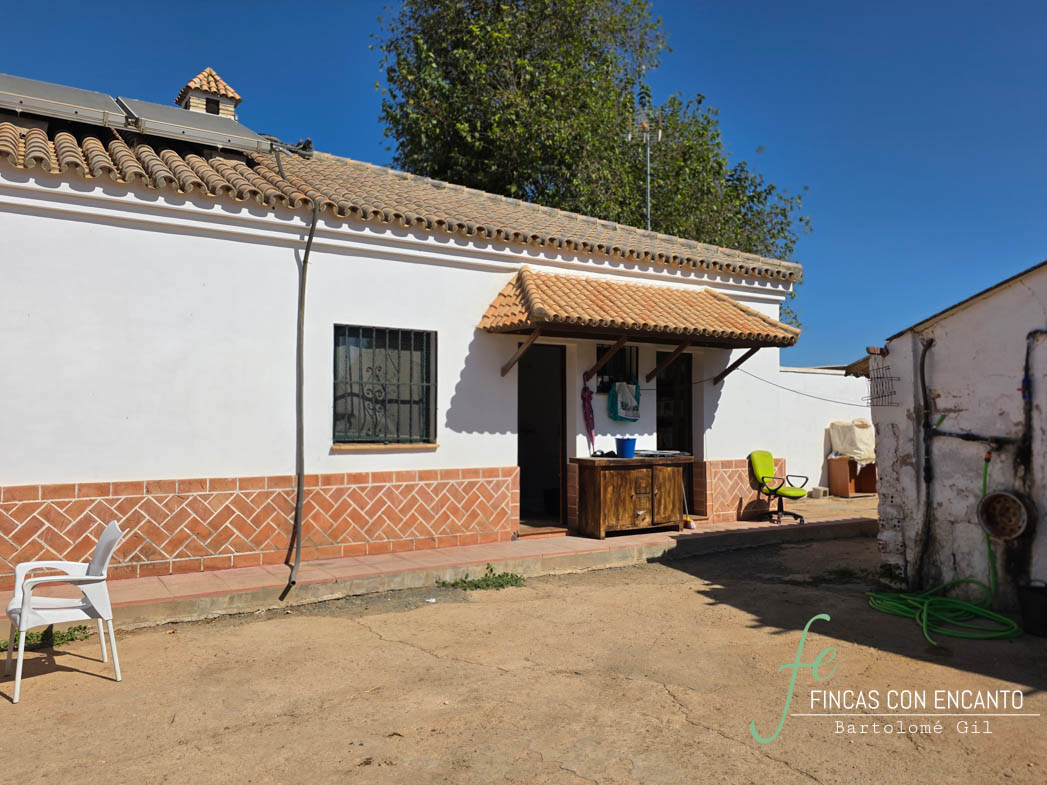 Hacienda agrícola con 30 hectáreas de regadío en Los Rosales